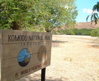 Pulau Komodo: Ketika Konservasi Berubah Menjadi Komodifikasi